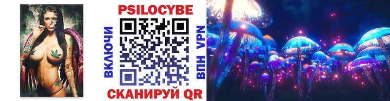 Псилоцибиновые грибы Cubensis  продажа наркотиков  Урень 